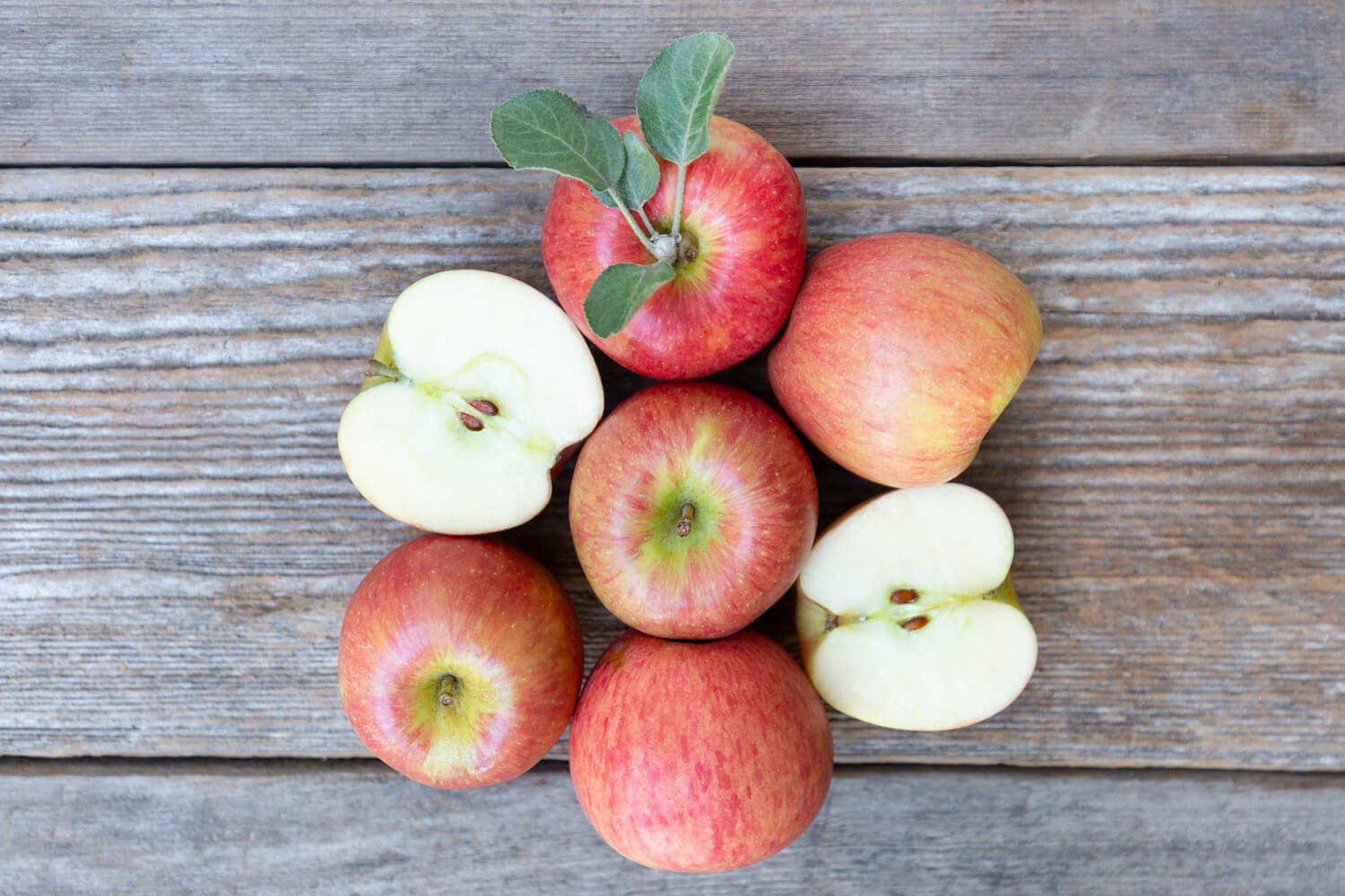 Meet Bill from Billy Bob Orchards Frog Hollow Farm