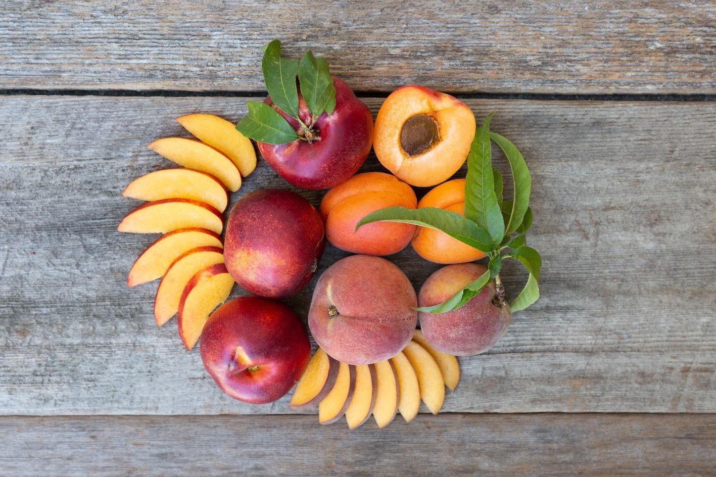 The benefits of joining a fruit of the month club frog hollow farm