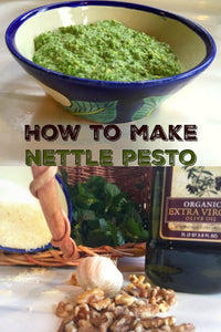 Quick & Easy Nettle Pesto Recipe