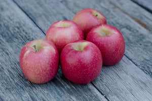 October is National Apple Month!