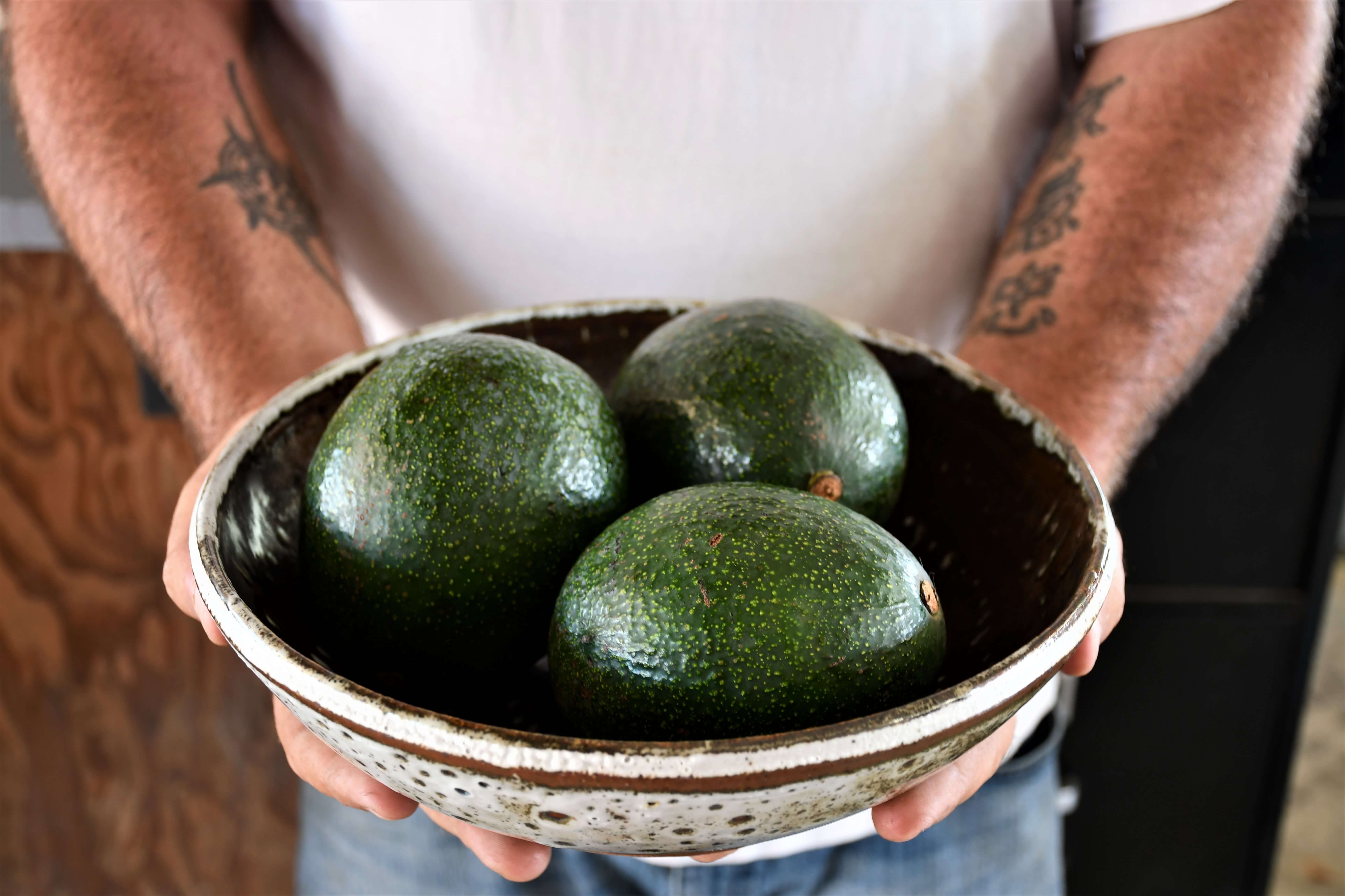 From Ojai with Love: Reed Avocados Grown with Care – Frog Hollow Farm