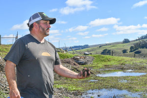 Beyond Free Range: Stemple Creek Ranch’s Attention to Soil