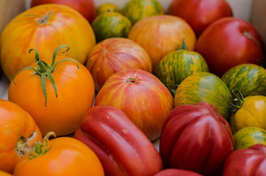 Organic Heirloom Tomatoes | 5 Fun Facts & Reasons to Buy