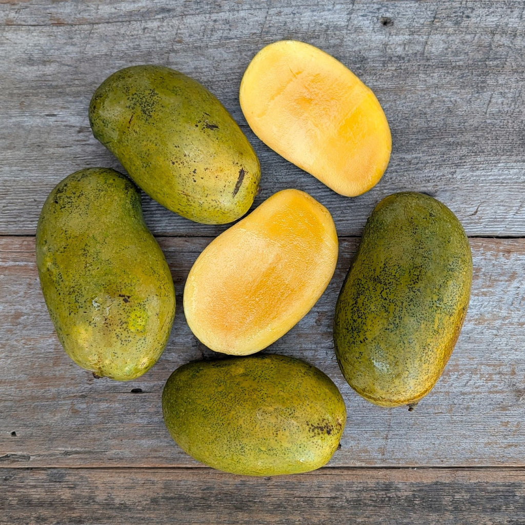 メラルーカ　【mangoさまご依頼品】 Organic Mangoes Mexico – Frog Hollow Farm