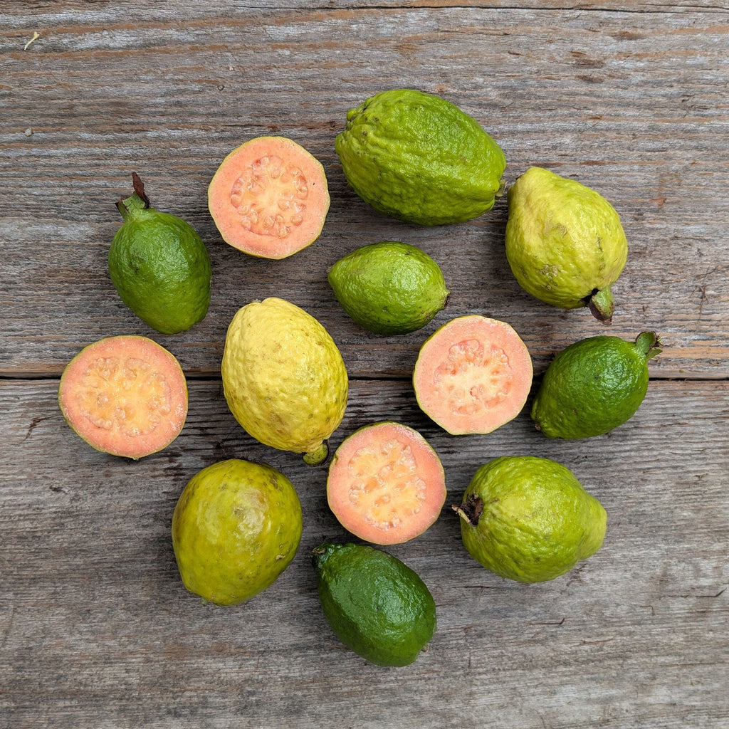 Organic Mexican Guava, image size:1024x1024