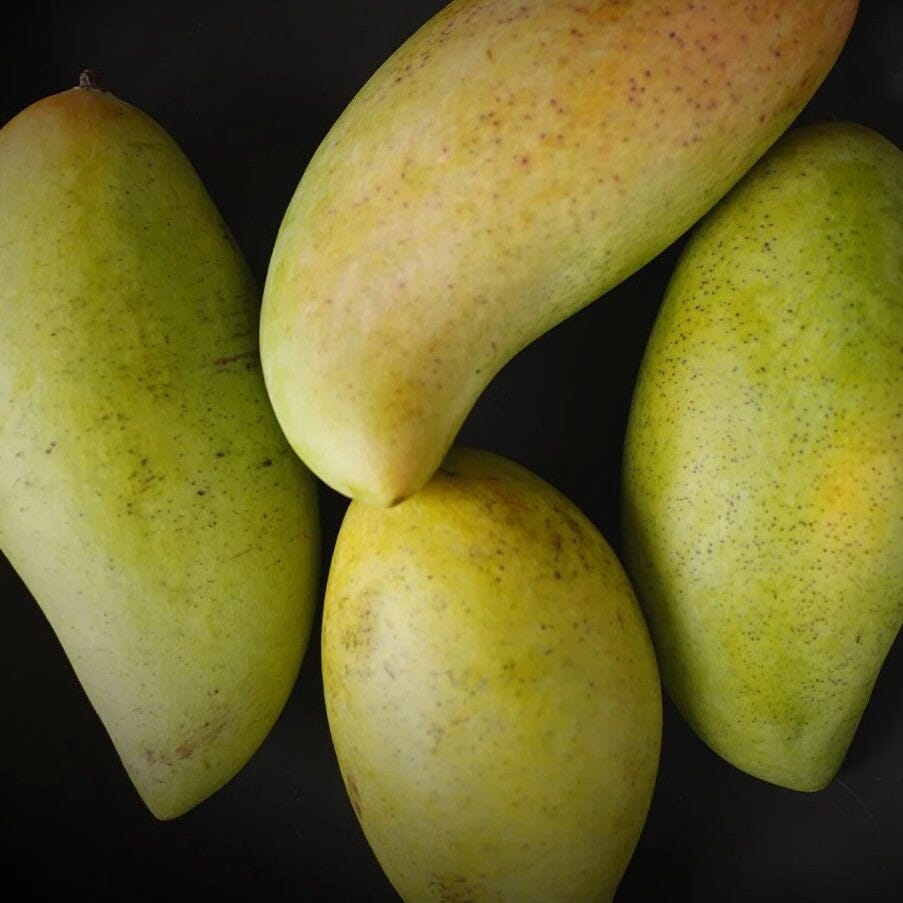mangoさま専用ページ Organic Nam Doc Mai Mangos (Mexico) – Frog Hollow Farm