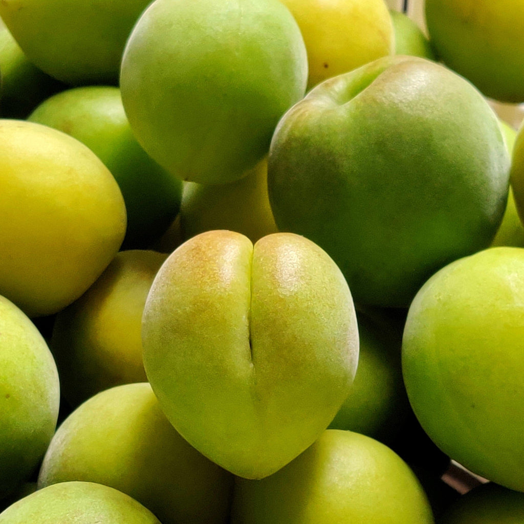 Organic Ume Plums Frog Hollow Farm