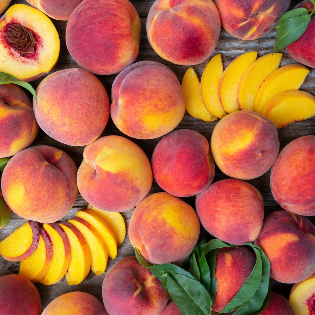 Organic Cal Red Peaches  Pre-Order – Frog Hollow Farm