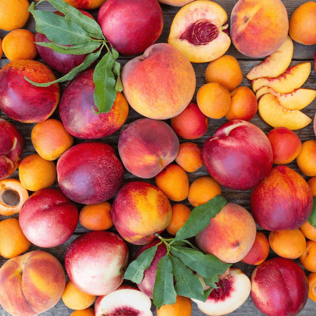 Organic Cal Red Peaches  Pre-Order – Frog Hollow Farm