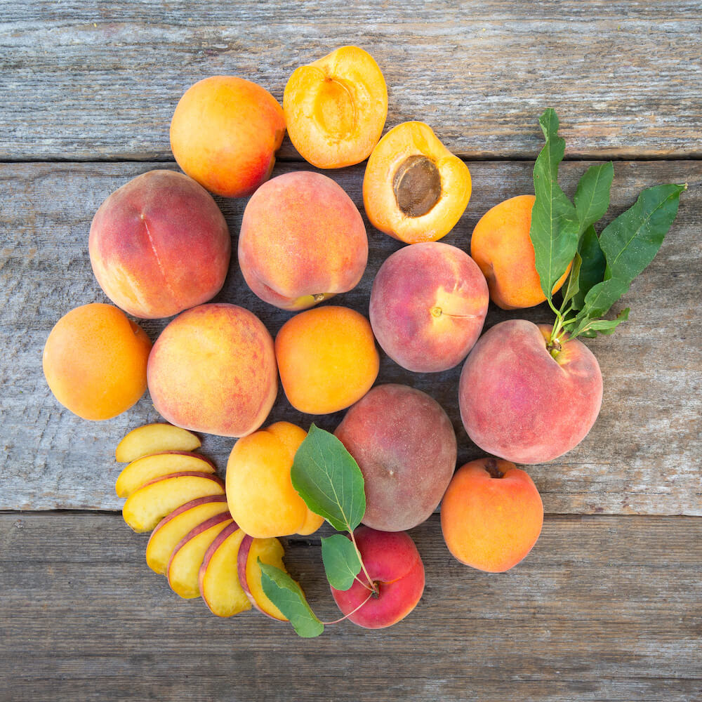FRUITS　No.9 MixedFruit-