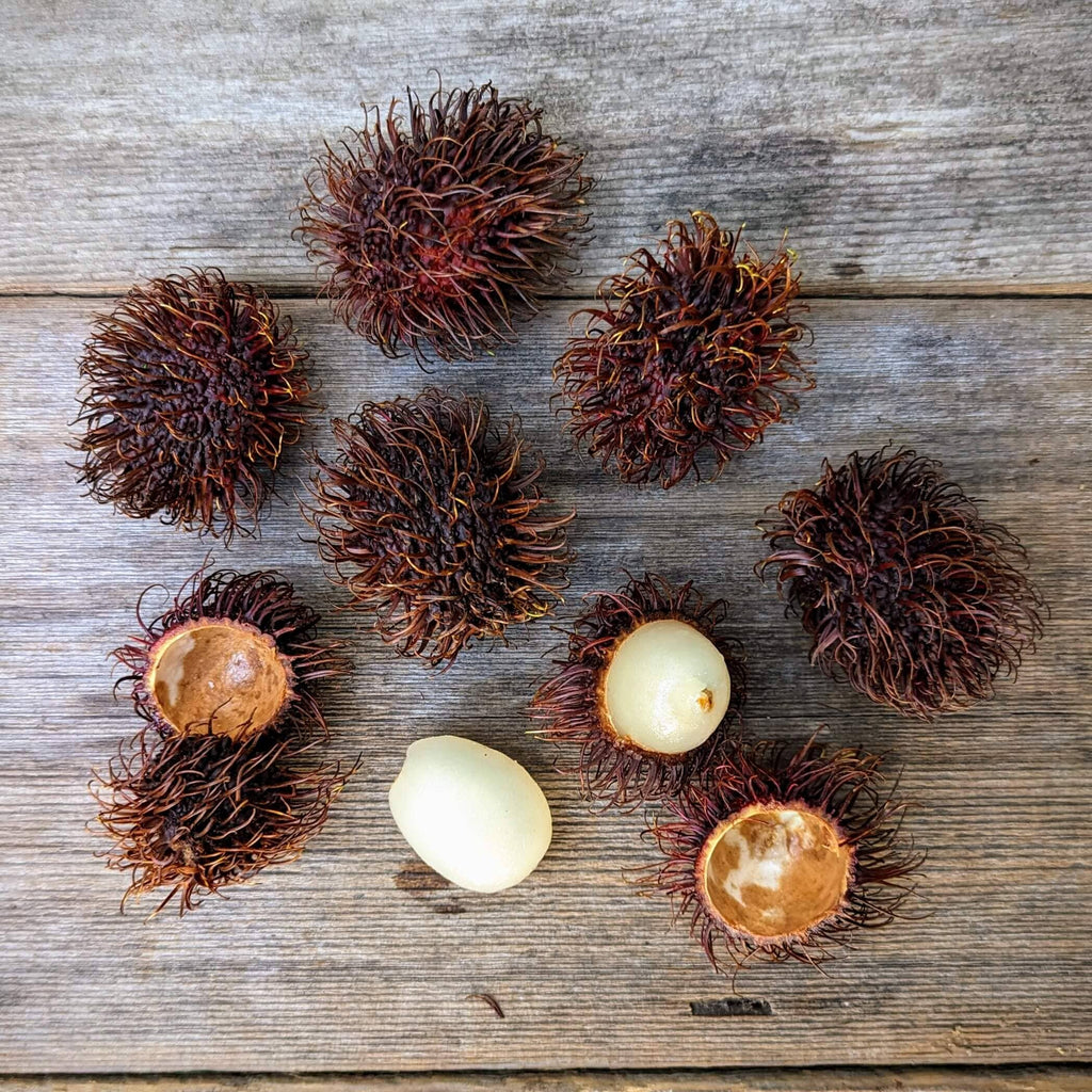 Organic Rambutan – Frog Hollow Farm