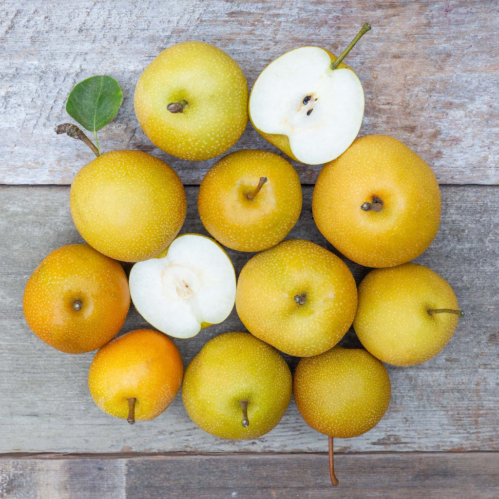 Organic Asian Pears – Frog Hollow Farm