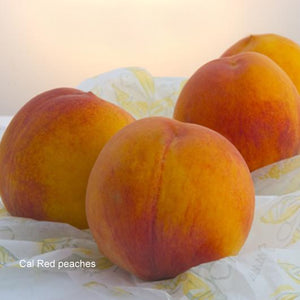2013 Battle of the Peaches: O'Henry vs Cal Red | Organic Peaches