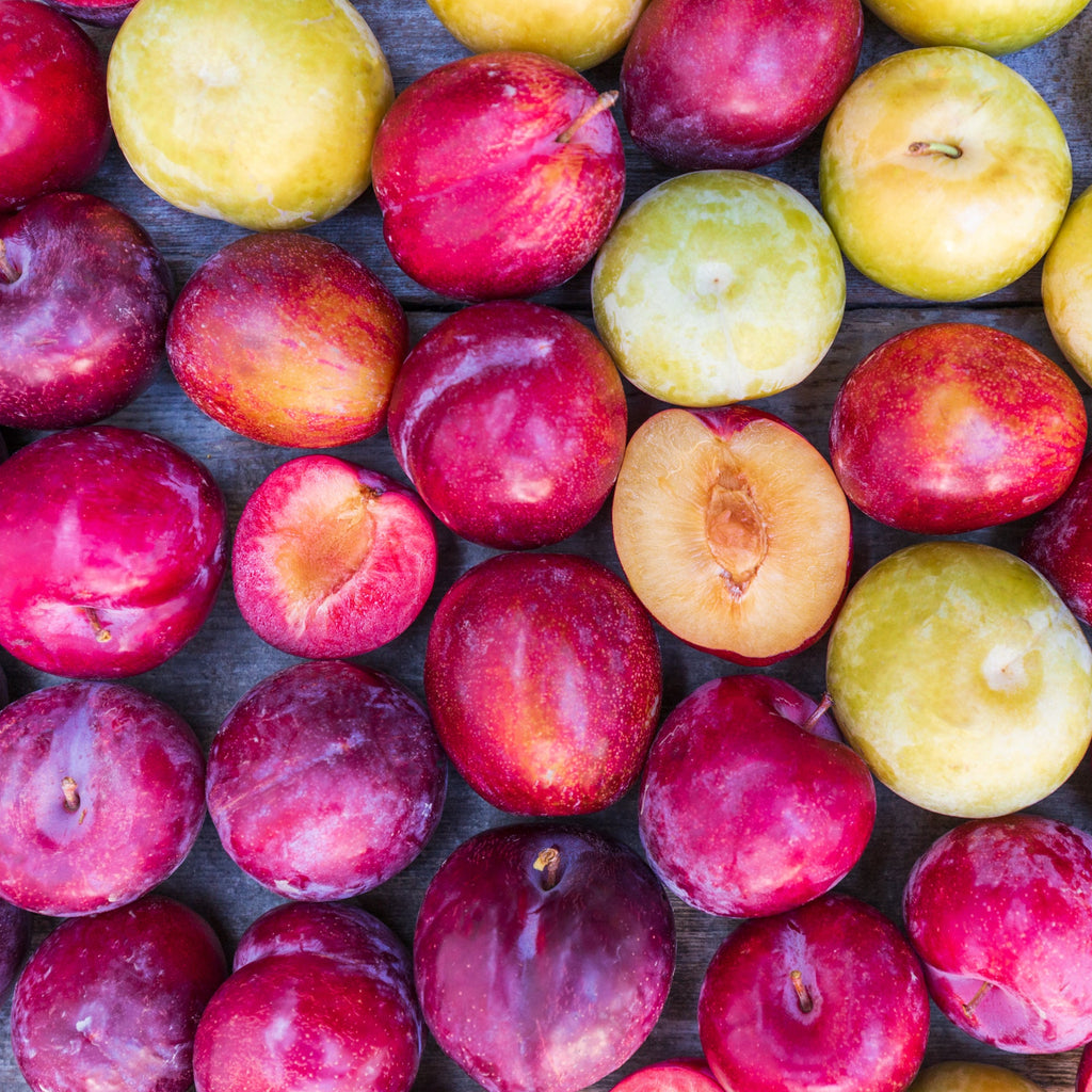 2024 Gotta Have My Plums and Pluots | Organic Fruit Club | 4 Shipments