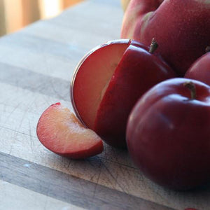 Gotta Have My Plums and Pluots | Organic Fruit Delivery