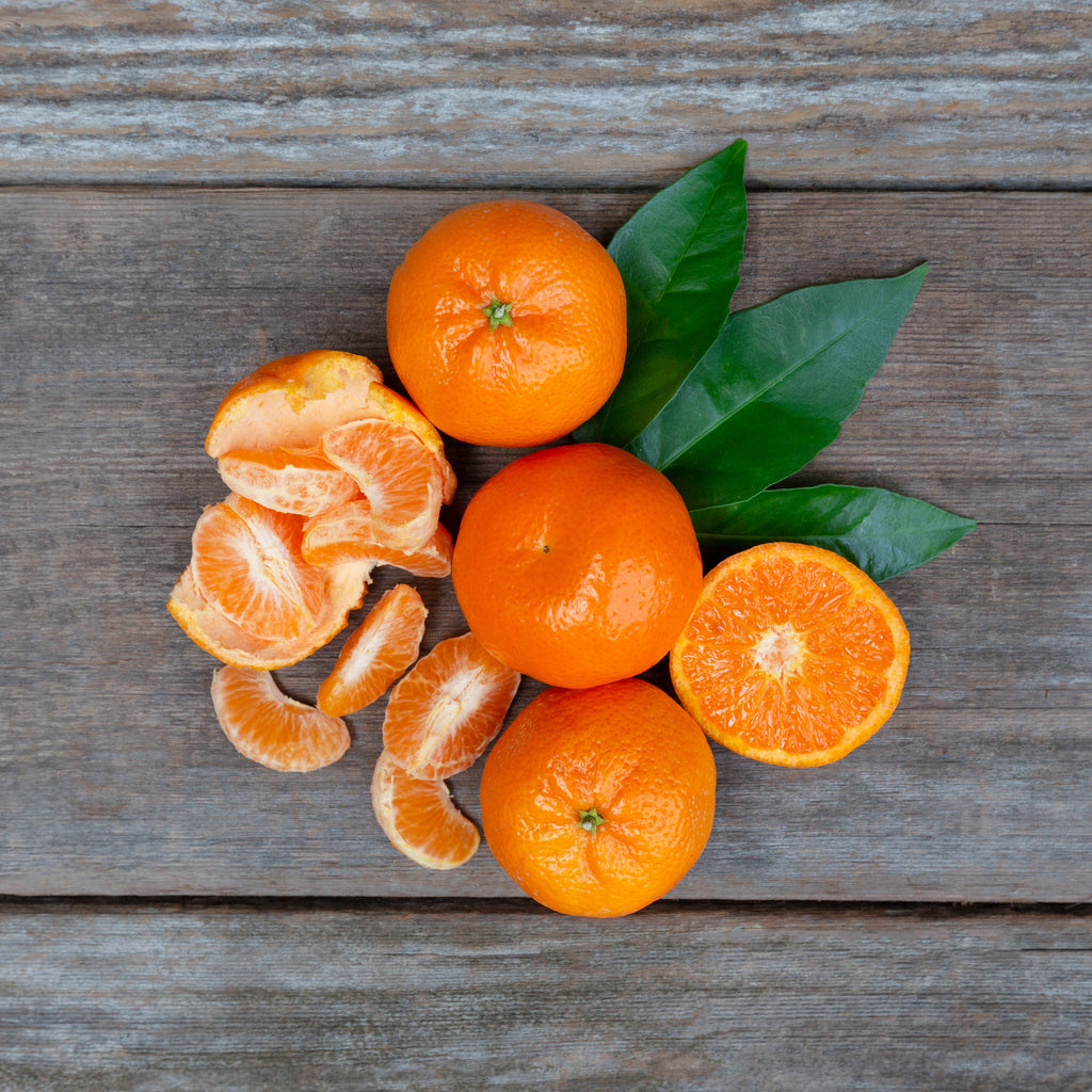 Organic Gold Nugget Mandarins – Frog Hollow Farm