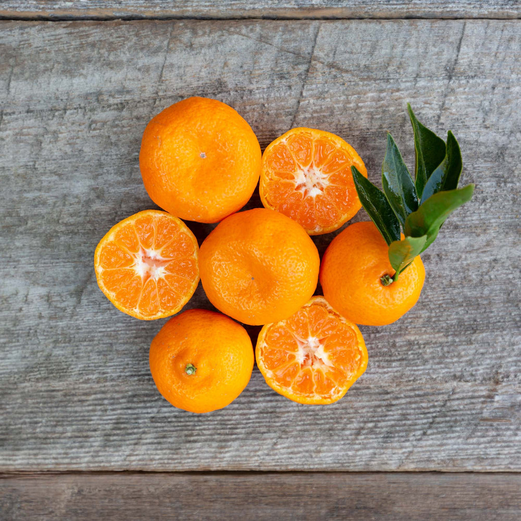 Organic Kishu Mandarins – Frog Hollow Farm