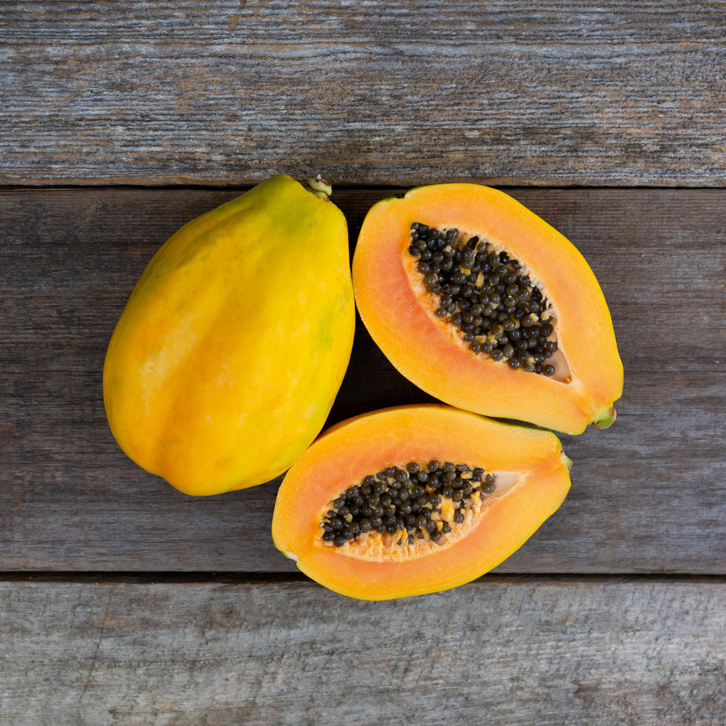 Original Solo Sunrise Papaya Seed | Paramount Seeds Inc Original Solo Sunrise Papaya Seed | Paramount Seeds Inc