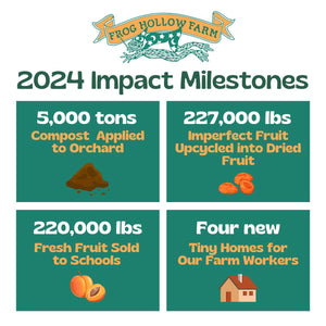 2024 Impact Milestones