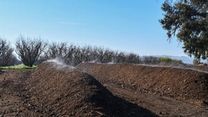 Pruning Trees & Compost Piles