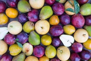 A close up image of various colorful fruits, including dark purple pluots, green pears, Asian pears, and more.