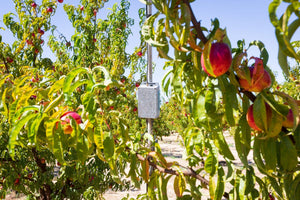 Water-wise, regenerative farming puts every rain drop to work