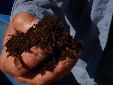 How Does Compost Make Frog Hollow Fruit So Special? – Frog Hollow Farm