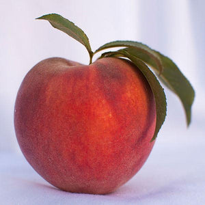 Easy Guide on How to Freeze Peaches for Winter