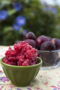 Plum Granita