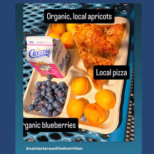 A close up image of a school food tray with a slice of pizza, vibrant orange apricots, fresh blueberries, and a small milk carton.