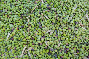 The Wonder of Olio Nuovo