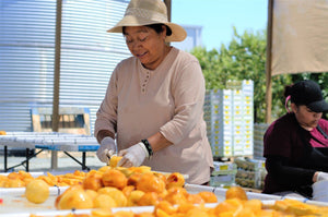 Dried Fruit: Delicious Treat AND a Solution to Food Waste
