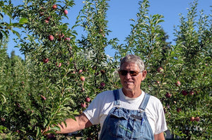 Composting as An Antidote to Soil Abuse