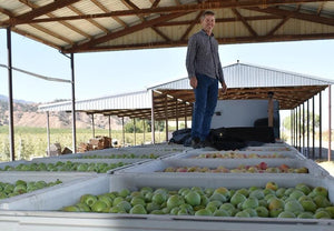 Sharing ‘Core’ Values with Cuyama Apple Orchards