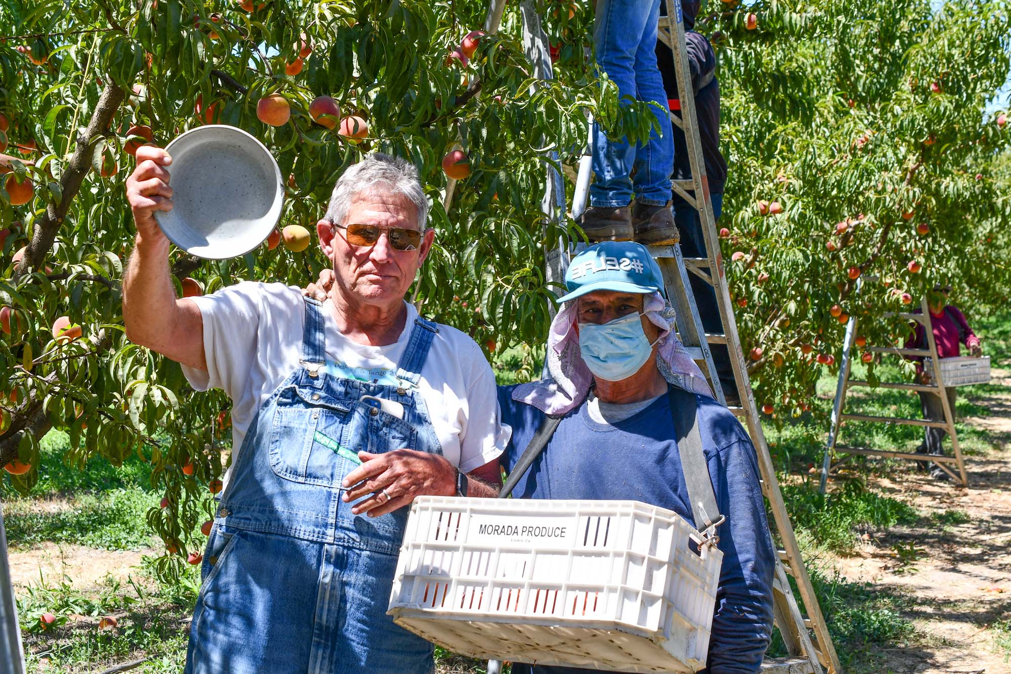 Farm Water Rights Help Rescue Small Farms' Water Rights – Frog Hollow Farm