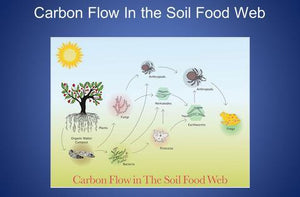 Microorganisms in Compost Used as Tools