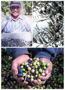 Our First Batch of Freshly Pressed Olio Nuovo Has Arrived!