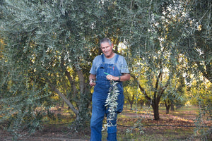 Health Benefits of Organic Extra Virgin Olive Oil