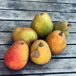Fierce team work makes Warren pear crop a reality in 2017