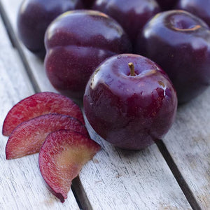 3 Qualities that Make Santa Rosa Plums Better than Others