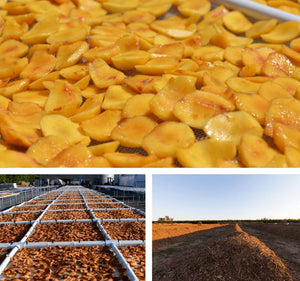 Three new ways to put peach waste to work