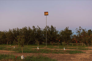 Integrated Pest Management, part 1: Owls keep gophers in check