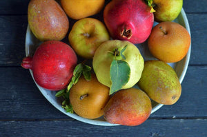 Fall Fruit Clubs