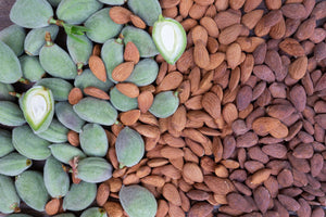 Almonds