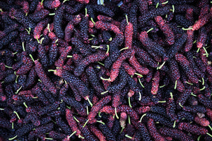 Mulberries