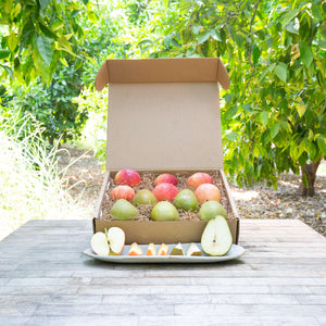 Organic Fuji Apples – Frog Hollow Farm