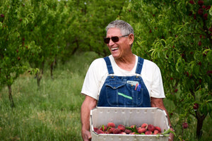 Organic Apples – Frog Hollow Farm