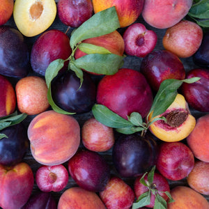 Organic Mixed Fruit