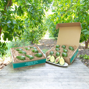 Two craft gift baskets filled with light green, buttery avocados, set against a background of sunlit trees.