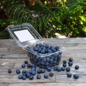 CCOF Certified Transitional Blueberries
